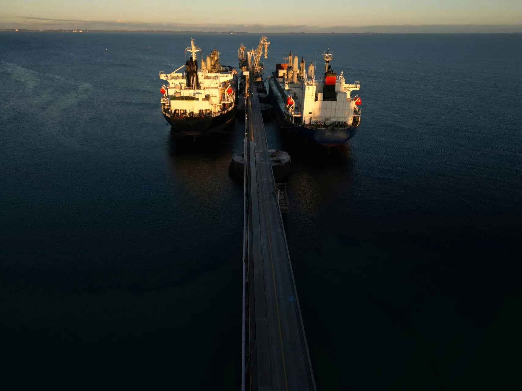 Beaumont Cargo Terminals and Stevedore Selection — maritime operations at Beaumont